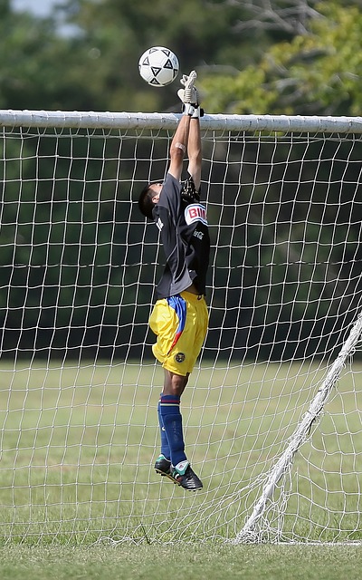 加拿大和澳 加拿大和澳