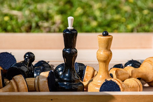 以指导家庭 以指导家庭