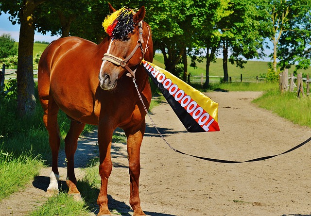 活态度的表 活态度的表