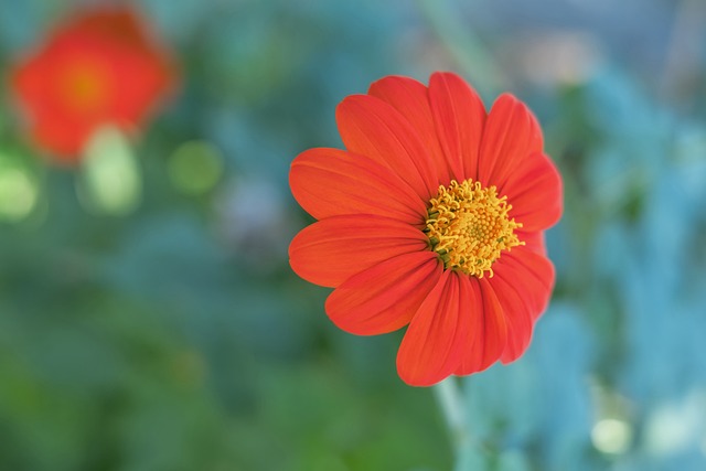 人堂的力量 人堂的力量