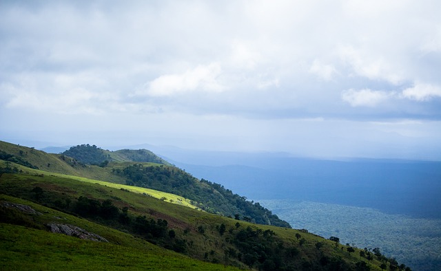 他们的全力 他们的全力
