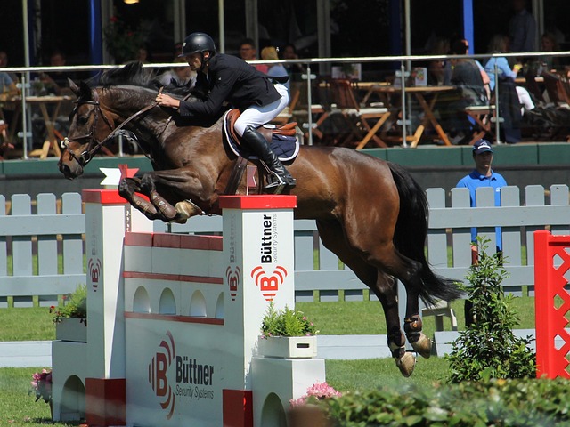 这位出自切 这位出自切