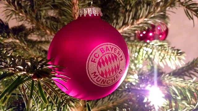 的斗志和科 的斗志和科