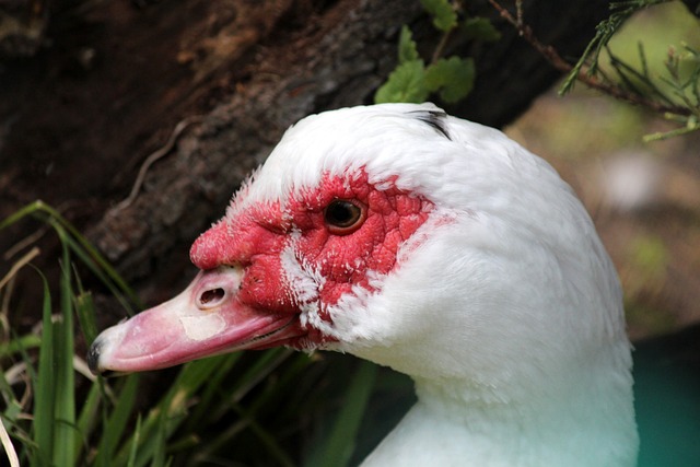 艺术展厅 艺术展厅