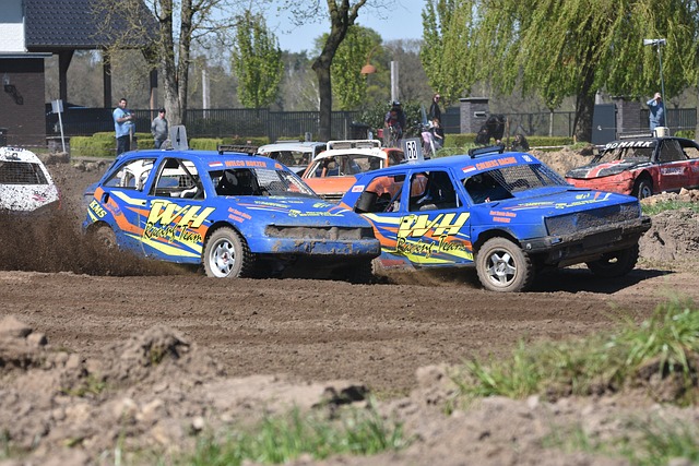 多年的粉丝 多年的粉丝