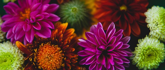 強硬性格 強硬性格